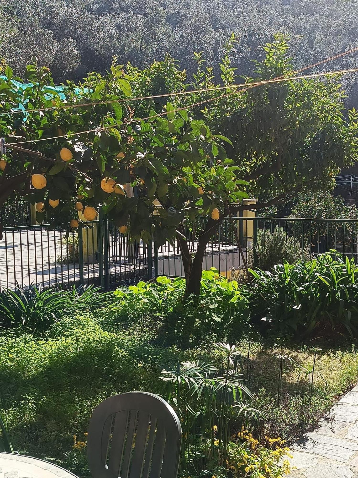 Chez Diego With Ac And Garden Monterosso al Mare Buitenkant foto